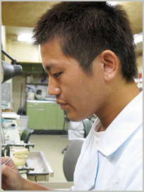 注目の技工士